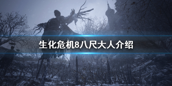 生化危机8八尺大人是谁（生化危机8八尺大人是谁扮演的）
