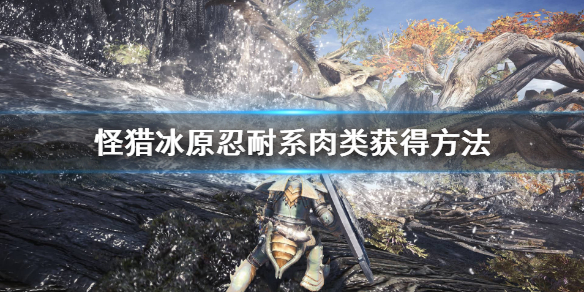 怪猎冰原忍耐系鱼类怎么获取（怪物猎人忍耐果实在哪）