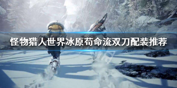 怪物猎人世界冰原苟命双刀怎么玩 怪物猎人世界最苟配装