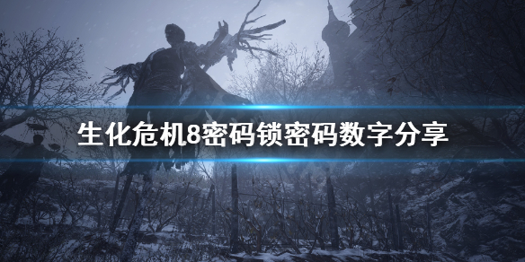 生化危机8密码锁怎么解 生化危机8密码锁040708
