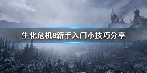 生化危机8游戏刚入手怎么办 生化危机8刚开始怎么玩