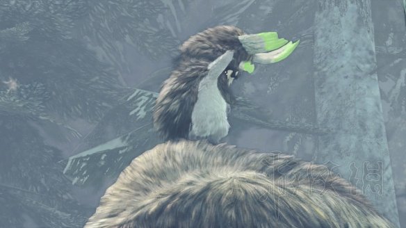 怪物猎人世界冰原拍照任务怎么做 观察任务图鉴+触发方法大全 森林虫笼族:确认或警惕