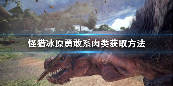 怪猎冰原勇敢系肉类怎么获得 怪猎勇敢最后一个肉