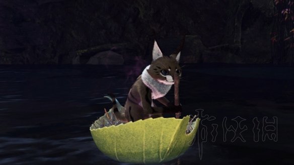 怪物猎人世界冰原拍照任务怎么做 观察任务图鉴+触发方法大全 森林虫笼族:确认或警惕