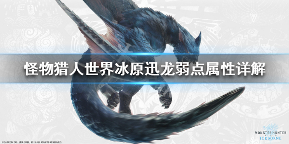 怪物猎人世界冰原迅龙弱点属性详解 怪物猎人世界 迅龙弱点