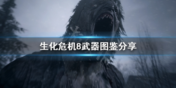 生化危机8武器有哪些 生化危机8武器分析