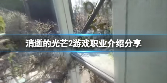 消逝的光芒2有什么职业 消逝的光芒2有什么职业可以选