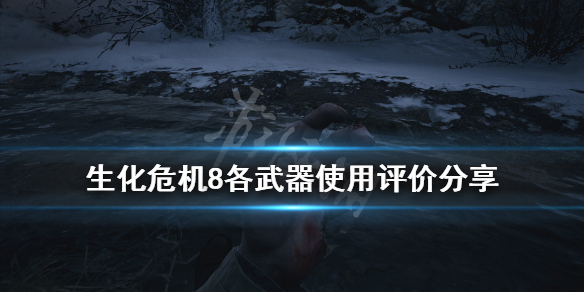 生化危机8哪把武器最好 生化危机8哪个武器好