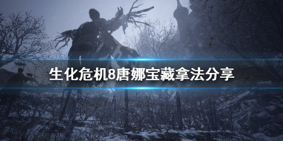生化危机8唐娜宝藏怎么拿 生化危机8唐娜宝藏怎么拿的