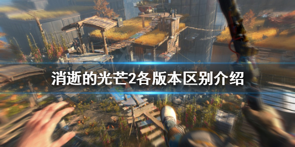 消逝的光芒2该买哪个版本 消逝的光芒2该买哪个版本的