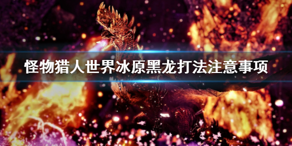 怪物猎人世界冰原黑龙打法是什么（怪物猎人世界冰原黑龙打法是什么技能）