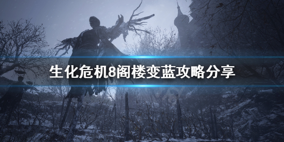 生化危机8怎么上阁楼（生化危机8怎么上楼顶）