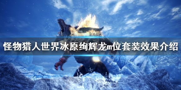 怪猎冰原绚辉龙m位套装效果介绍（冰原绚辉龙配装）
