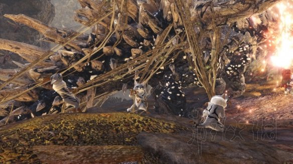 怪物猎人世界冰原拍照任务怎么做 观察任务图鉴+触发方法大全 森林虫笼族:确认或警惕