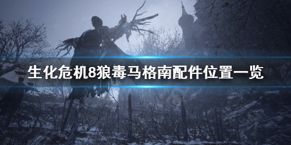 生化危机8马格南配件在哪 生化危机8马格南子弹怎么用