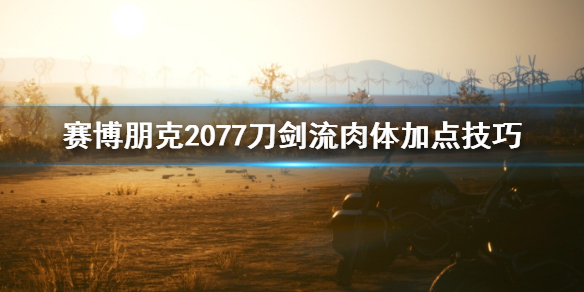 赛博朋克2077刀剑流肉体怎么加点（赛博朋克2077刀剑流属性加点）