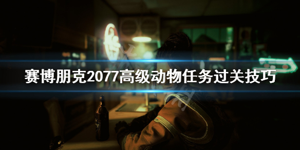 赛博朋克2077高级动物怎么过 赛博朋克2077高级动物怎么获得500欧元