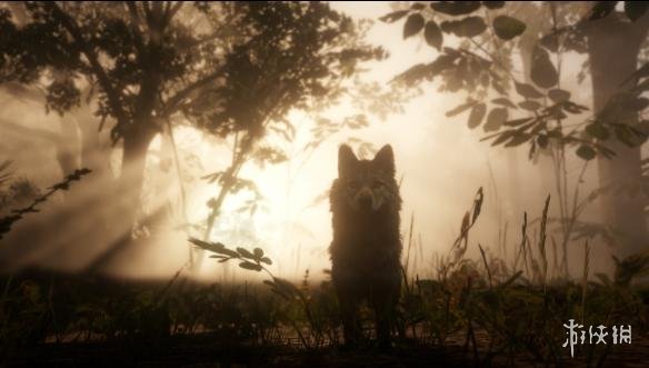 荒野大镖客2终极版与特别版区别介绍（荒野大镖客2终极版比普通版多了什么）