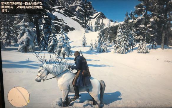 荒野大镖客2马匹怎么驯服（荒野大镖客2马匹怎么驯服）