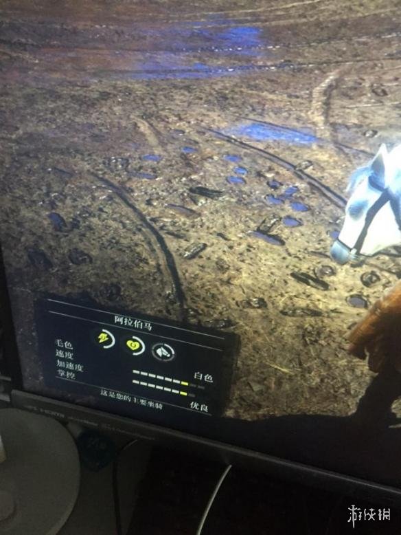 荒野大镖客2稀有阿拉伯马获取攻略（荒野大镖客2有几种阿拉伯马）