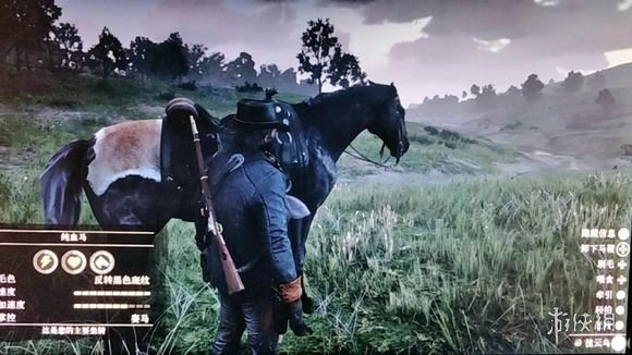 荒野大镖客2马怎么满速度（荒野大镖客2怎么让马的速度达到最大值）