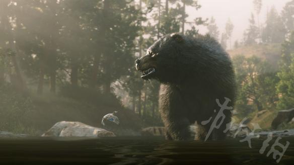 荒野大镖客2陨石怎么拿（荒野大镖客2陨石怎么拿出来）