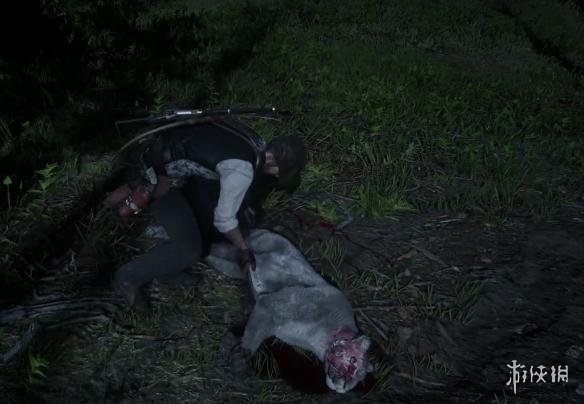 荒野大镖客2美洲狮在哪 荒野大镖客2美洲狮在哪刷新