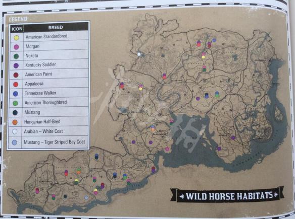 荒野大镖客2虎纹野马怎么获得（荒野大镖客2虎纹野马在哪）