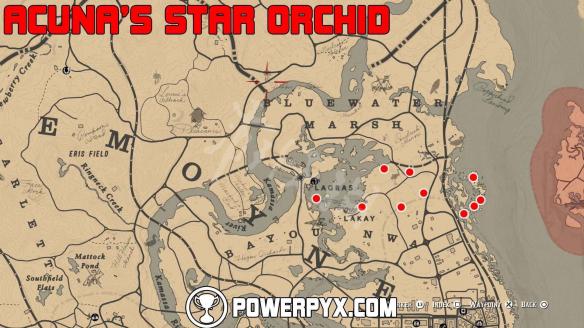 荒野大镖客2全稀有花朵位置地图标注 荒野大镖客2 稀有花