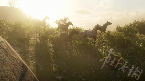 荒野大镖客2有哪些特别NPC事件 荒野大镖客2有哪些特别npc事件