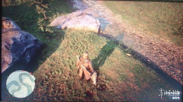 荒野大镖客2海鸥位置在哪（大镖客2海鸥的位置）