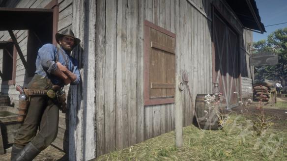 荒野大镖客2杰克霍尔宝藏在哪 荒野大镖客2杰克霍尔宝藏在哪个位置