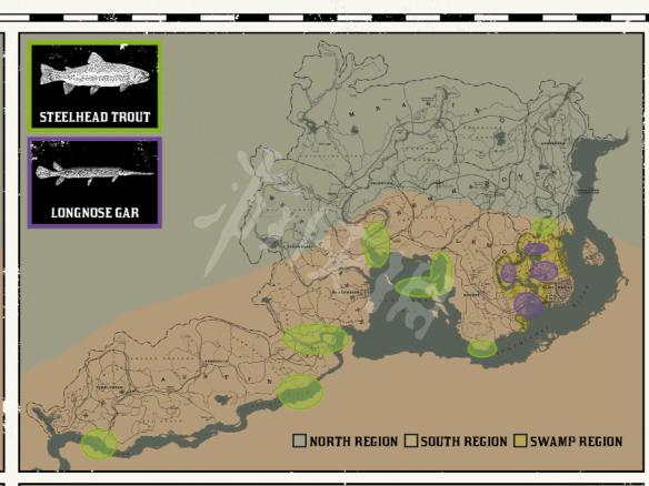 荒野大镖客2生存大师钓鱼技巧汇总 荒野大镖客2生存大师10里的鱼都在哪