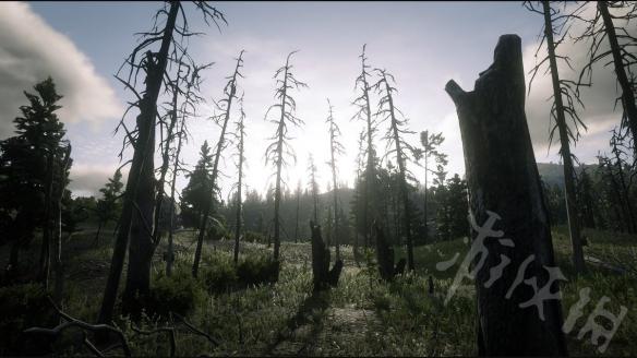 荒野大镖客2完美毛皮需要什么武器 荒野大镖客2完美毛皮有什么用