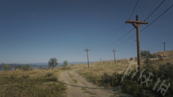 荒野大镖客2线上模式十级稀有成就 荒野大镖客2线上10级宝藏位置