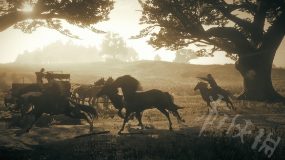 荒野大镖客2线上模式三个已知宝箱（荒野大镖客2线上宝箱位置）