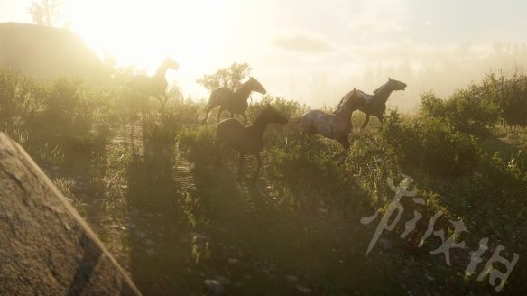 荒野大镖客2线上动物刷新机制是什么（荒野大镖客2线下动物刷新机制）