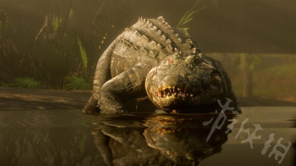 荒野大镖客2线上营地建在哪比较好 荒野大镖客2线上营地建在哪比较好呢