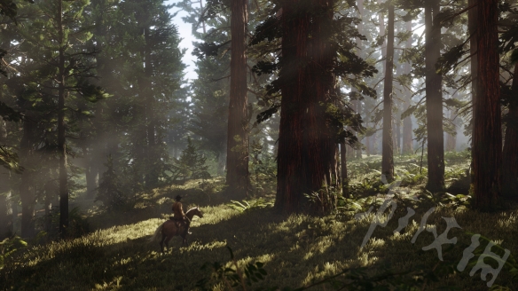 荒野大镖客2线上模式奖章怎么获取 荒野大镖客2线上金牌条件