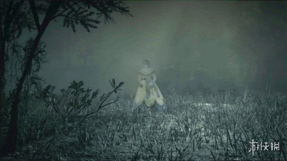 荒野大镖客2全特殊角色位置一览（荒野大镖客2全特殊角色位置一览视频）