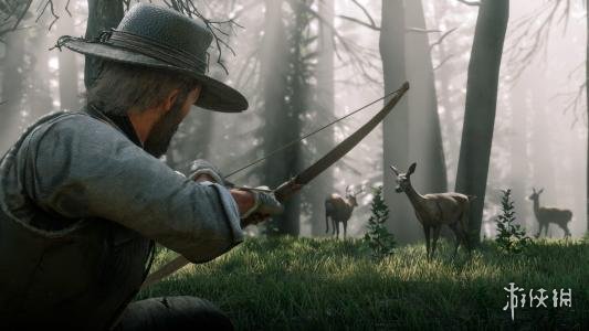 荒野大镖客2新手打猎需要注意什么 荒野大镖客2打猎用什么枪最好