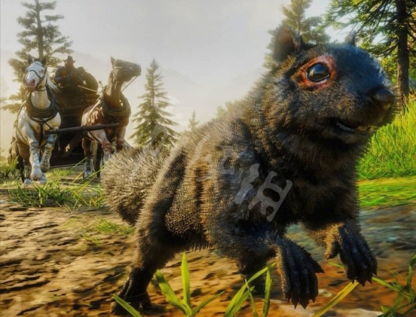 荒野大镖客2松鼠完美皮怎么打（荒野大镖客2松鼠完美皮用什么枪）