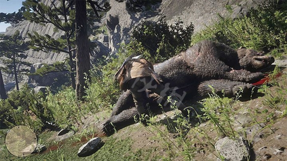 荒野大镖客2传奇熊怎么杀 荒野大镖客2传奇熊位置打法教学_网