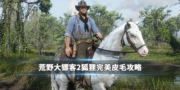 荒野大镖客2狐狸用什么枪打（荒野大镖客2狐狸用什么武器）