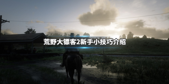 荒野大镖客2新手小技巧介绍（荒野大镖客2 新手入门）