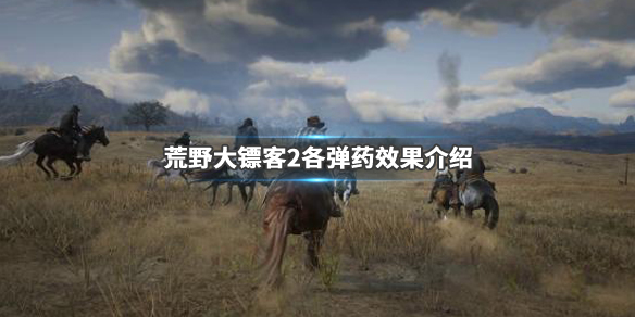 荒野大镖客2全弹药类型一览（荒野大镖客2弹药种类属性介绍）