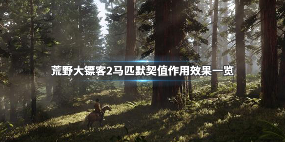 荒野大镖客2马匹默契值怎么提升（荒野大镖客2线下马匹默契度）