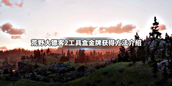 荒野大镖客2工具盒任务怎么做（荒野大镖客2工具盒任务怎么做视频）