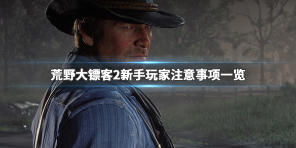 荒野大镖客2纯新手攻略（荒野大镖客2萌新攻略）