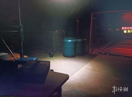 赛博朋克2077不朽手枪丽姿怎么获得 手枪丽姿获得方法分享